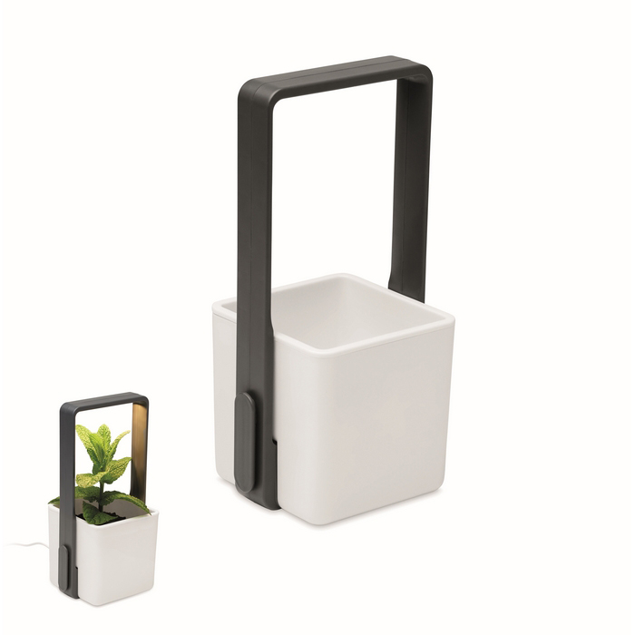 Binnentuin met LED lamp