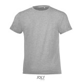REGENT FIT KIND 150g