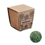 Zonnebloem kweekset - beige