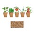 Salade kweekset - beige