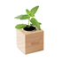 Kweekset, munt in houten pot - hout