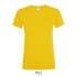REGENT dames t-shirt 150g - Goud