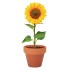 Potje Zonnebloem
